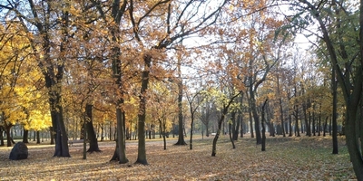 Park w Solankach